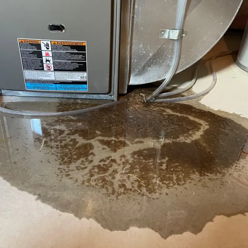 Appliance Leak Cleanup in Donalsonville, GA